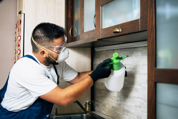 Best Affordable Pest Control Services  in Orcdlands Estates, HI
