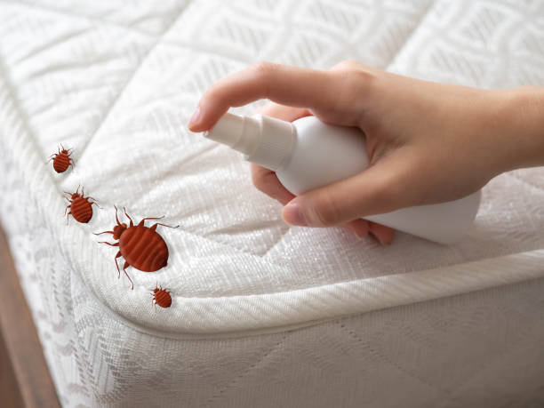 Orchidlands Estates, HI Pest Control Company