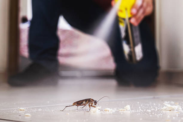 Best Bed Bug Extermination  in Orcdlands Estates, HI